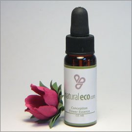 Conception Flower and Gem Essence