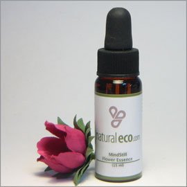 MindStill Flower Essence