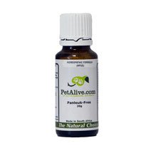 Petalive Panleuk-Free Homeopathic vaccine relieves symptoms of cat distemper