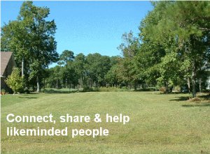 Discount ~ Land for sale ~ Cars & Van Rental ~ Holidays ~ Plots ~ Work ~ Home