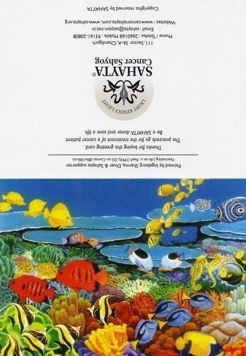 Ocean Floor - 5 Pack