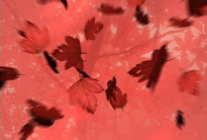 Animated Video Template Background Vid# 0835fall