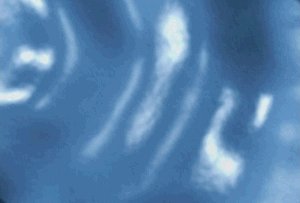 Animated Video Template Background Vid# 0837wav1