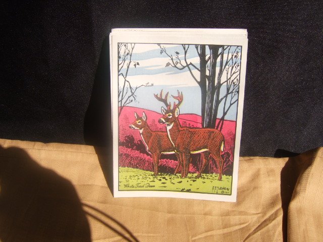 15 Identical Deer Scene Postcards From DeCalco, Inc.