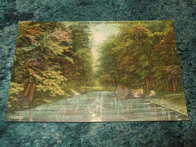 Bronx River, Bronx Park, New York 1910's Postcard 25902