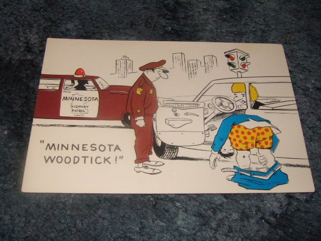 Minnesota Woodtick Color Postcard 1950's?