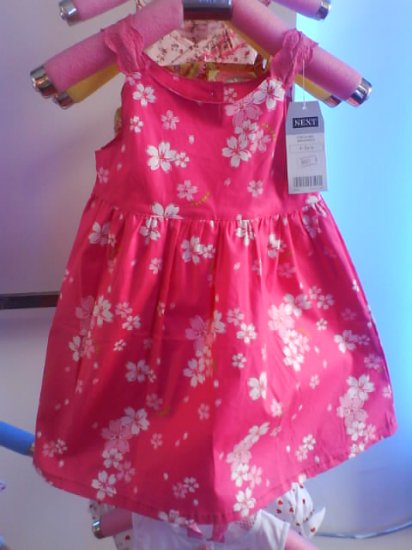 Nice dress by Next - Brand new with tag (KS026)