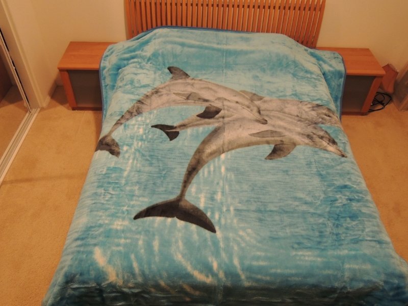 Q110, 3 dolphins