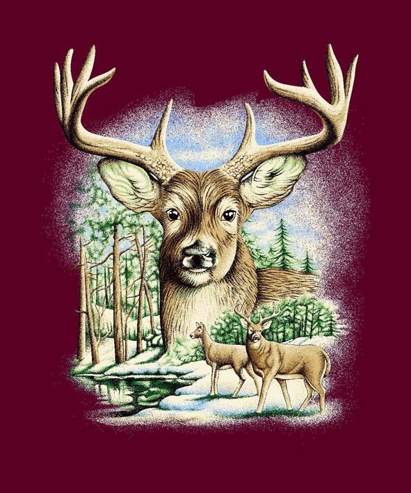 Q024 Deer Head