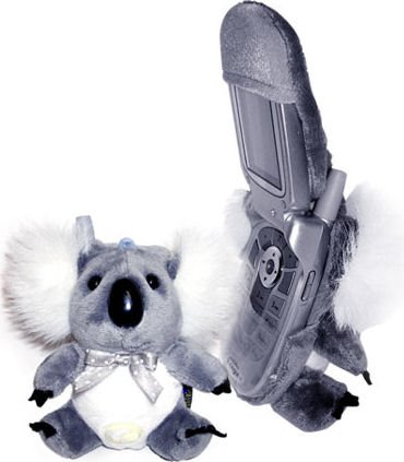 Koala Bear HollyWood Cell Phone Cover