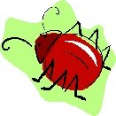 Lucky Ladybug Return Address Labels