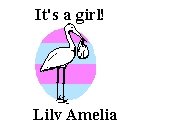 Its a Girl Return Address Labels