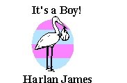 Its a Boy! Return Address Labels