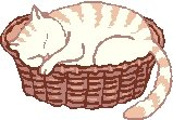 Sleeping Cat Return Address Labels