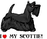 I Love My Scottie! Return Address Labels