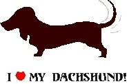 I Love My Dachshund! Return Address Labels