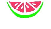 Watermelon Return Address Labels