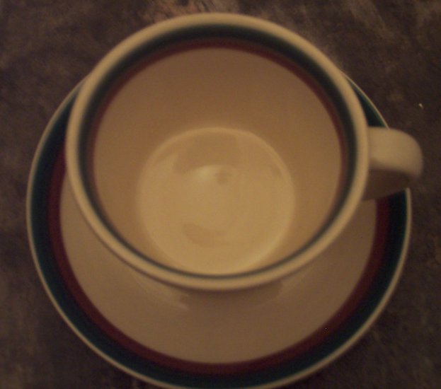 Pfaltzgraff Juniper Dinnerware Dish(es) - Mug Cup & Saucer Set Retired Discontinued