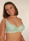 CAM5044: 1 Dozen Carrie Amber Embroidered Waterbras