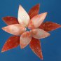 B682 Cut shells- Mimachlamys sanguinea-06, 12 pcs
