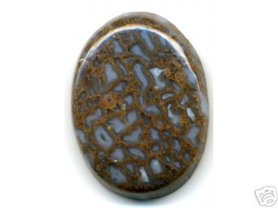 Dinosaur Bone Cabachon (4964030875)