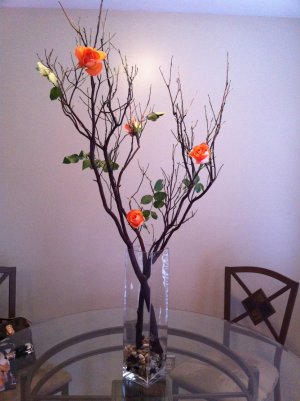 33"-36" Natural Red Manzanita Branches 10 pc.