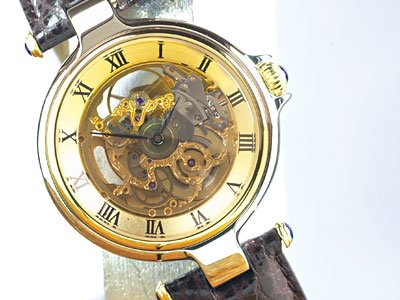 Steinhausen Leonardo Swiss Automatic Watch Gold # TW 783 G