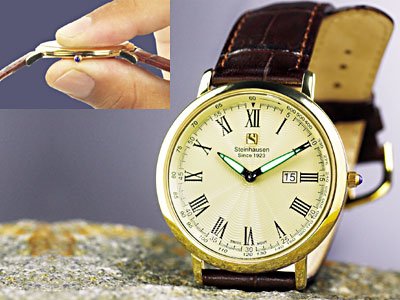 Steinhausen Dunn Horitzon Watch Gold Leather Band # TW 493 G