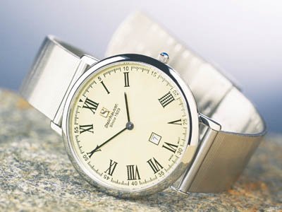 Mesh Band for Dunn Horizton Watch (silver) #TW 493 SMB