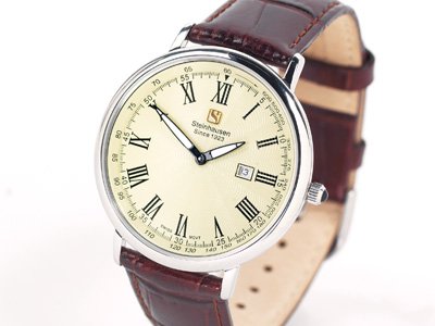 Steinhausen Dunn Horitzon Watch Silver Leatherband # TW 493 S