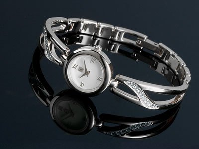 Steinhausen Ladies Watch (Silver) # TW 553 S