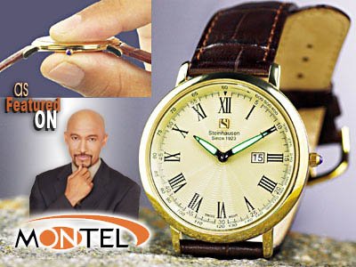 Steinhausen Dunn Horitzon Watch (Gold) # TW 493 G
