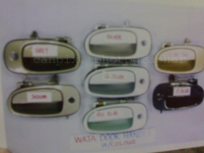 Waja Door Handle with Paint