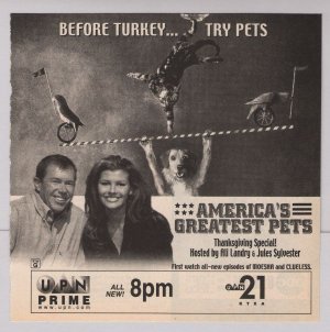 Pets Advertisement