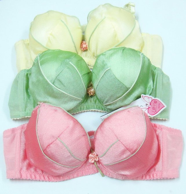 BRA 1210B