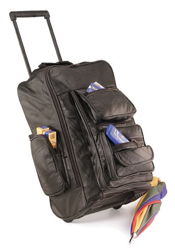 Leather Backpack