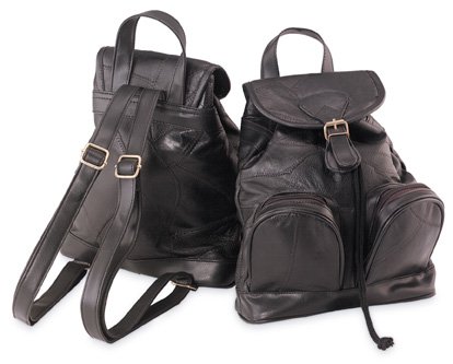 Backpack-Purse