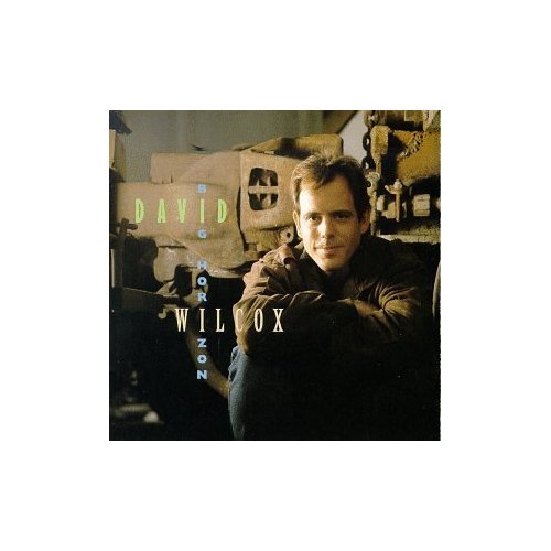 David Wilcox - Big Horizon (CD, 1994) Folk NM Used CD