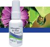 Allergies and Hay Fever -2 oz.