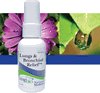 Lungs & Bronchial Relief -2 oz.
