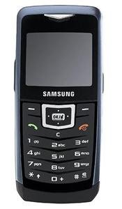 Samsung U100 Unlocked GSM Triband Phone SGH-U100