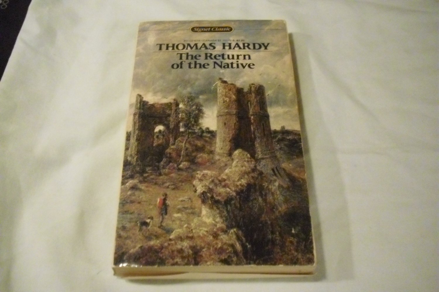ìthe return of the nativeî by thomas hardy essay The return of the native is one of thomas hardy’s novels of characters and environment in this novel, the author tries to analyze the reasons and characteristics of eustacia’s rebellion in this novel, the author tries to analyze the reasons and characteristics of eustacia’s rebellion. ìthe return of the nativeî by thomas hardy essay The return of the native is one of thomas hardy’s novels of characters and environment in this novel, the author tries to analyze the reasons and characteristics of eustacia’s rebellion in this novel, the author tries to analyze the reasons and characteristics of eustacia’s rebellion.