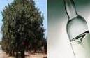 Pisco & Algarrobina