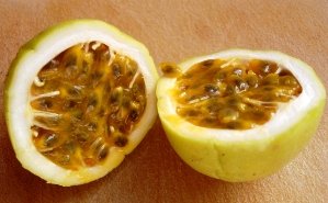 Maracuya / Passionfruit