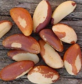 Brazil Nuts