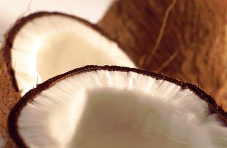 Coconut / Coco