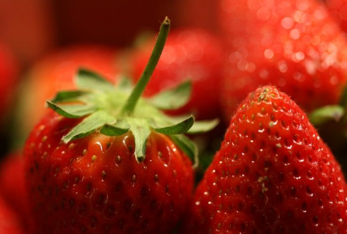 Strawberry / Fresa