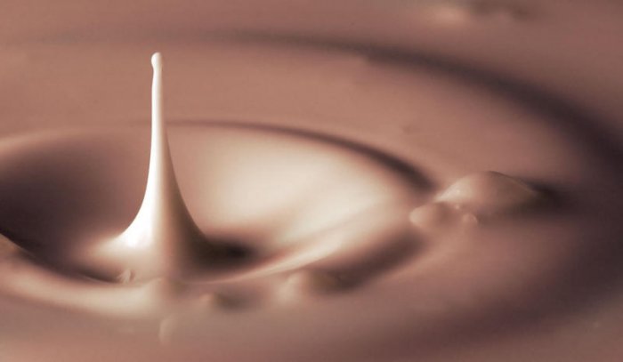 Milk truffle