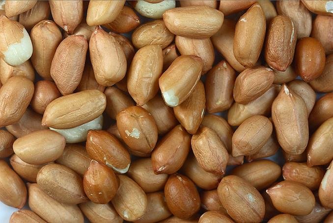 Peanut / Maní