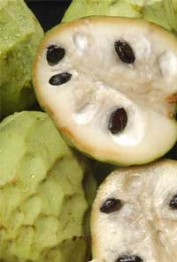 Chirimoya Flavor